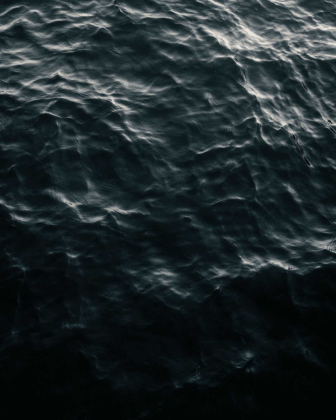 A spacious, well-lit museum corridor with exhibits, wooden ceiling details, and a contemporary design