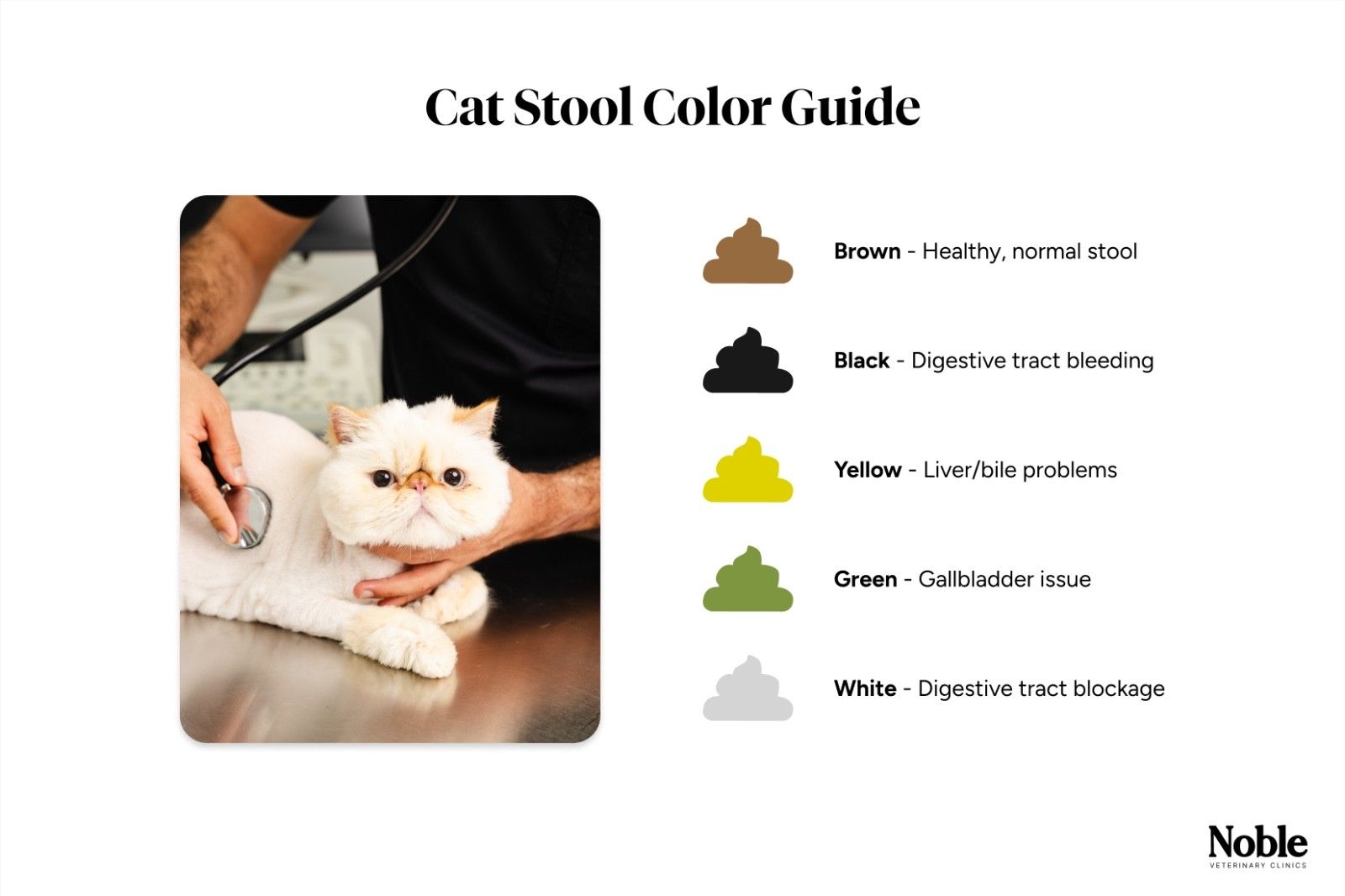 Change in Stool Appearance