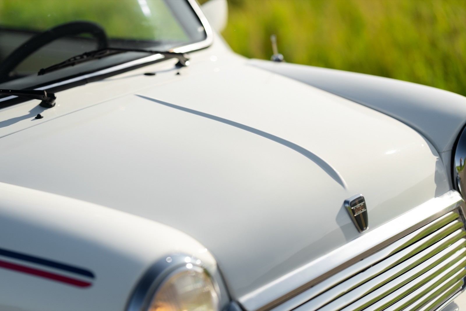 Close-up of a shiny white car hood, showcasing smooth lines and gleaming chrome details against a green background.