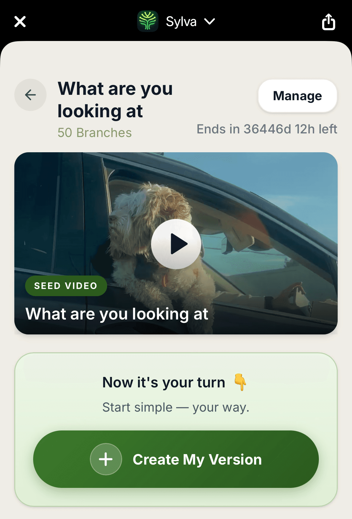 Create Your Version product screenshot