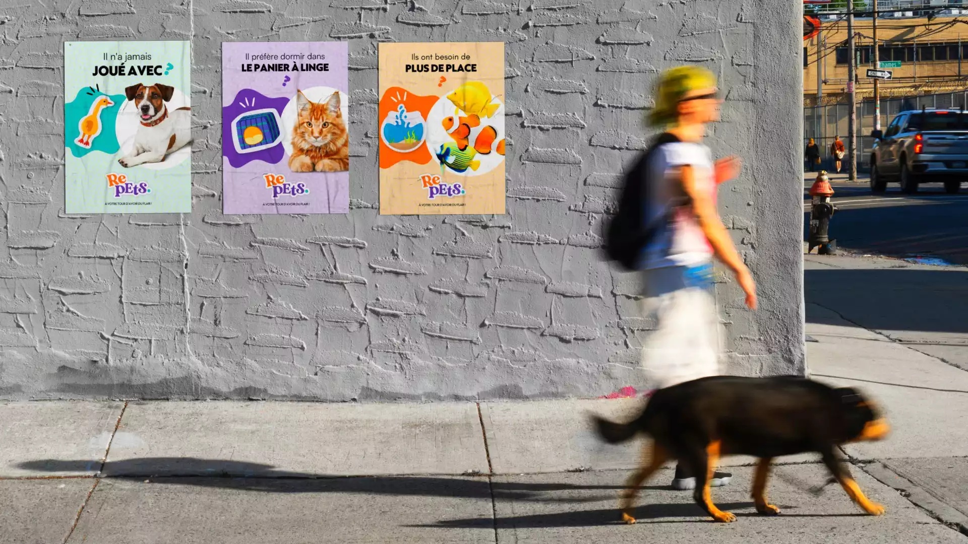 Affiches Repets, plateforme de seconde main pour accessoires animaliers