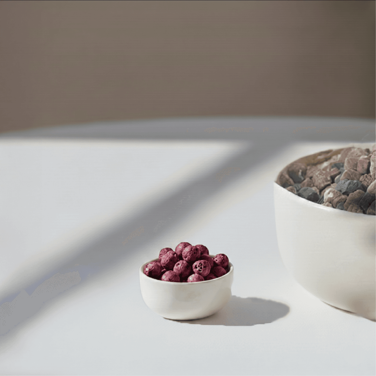 Small bowl of round air-popped lotus seed snacks placed beside a larger bowl of dry dog food on a clean, sunlit surface.
