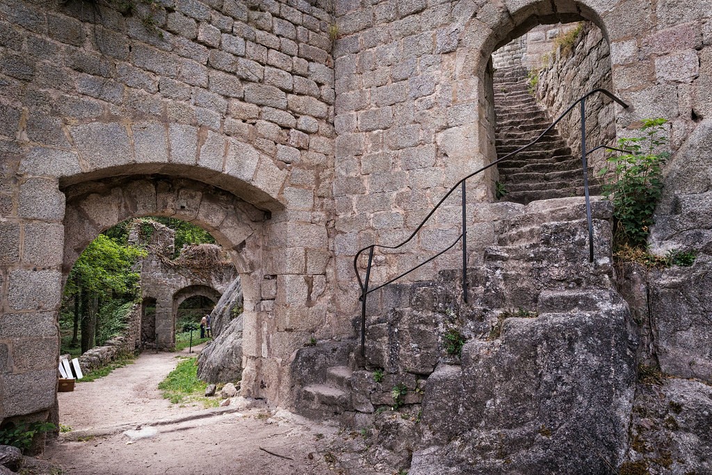 Du sentier viticole aux ruines médiévales perchées dans les Vosges, Dambach-la-Ville est un paradis discret pour les amateurs de marche en Alsace.