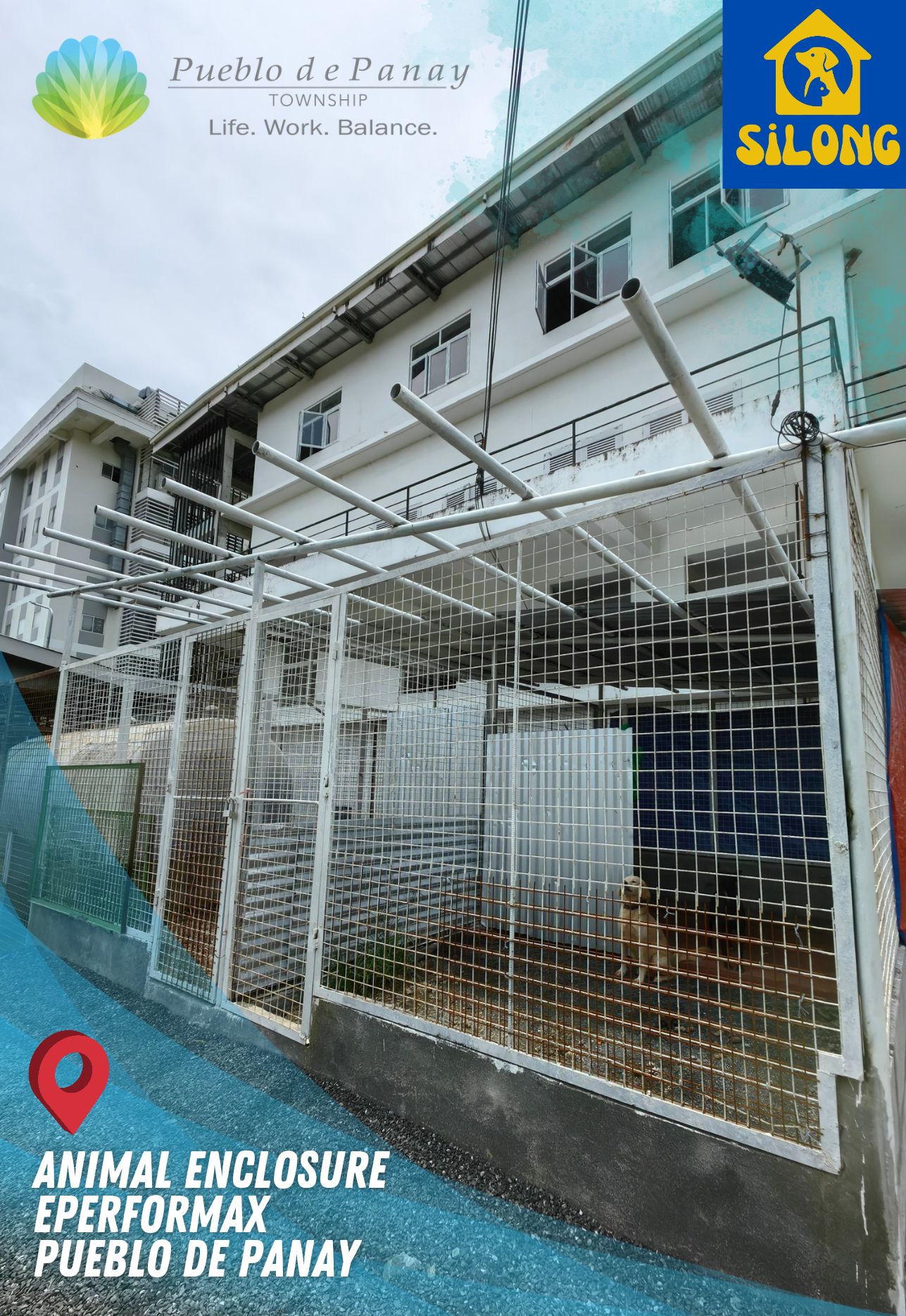selective focus photography of three brown puppies