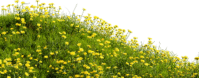Decoration Image
