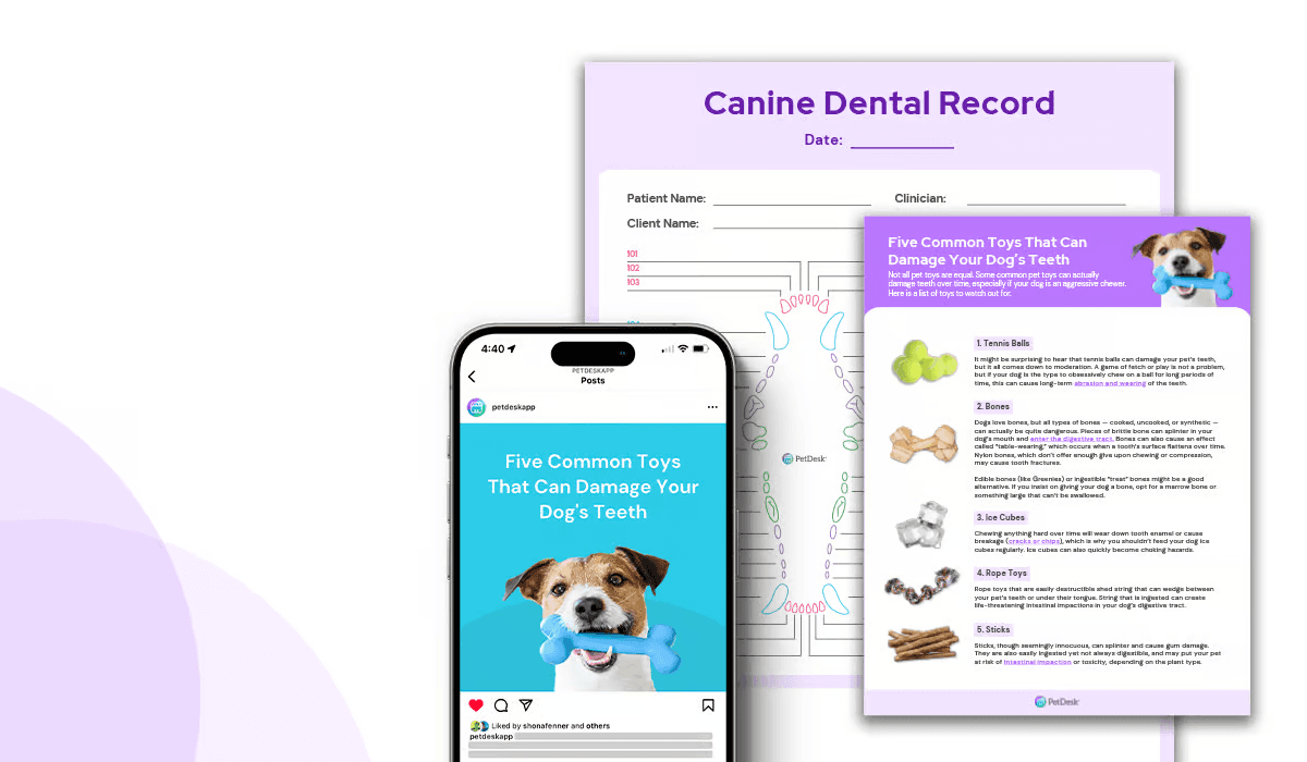 The Ultimate Guide to Spring Cleaning your Veterinary Practice|The Ultimate Guide to Spring Cleaning Your Veterinary Practice eBook