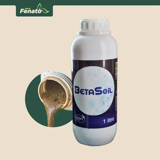 Beta Soil