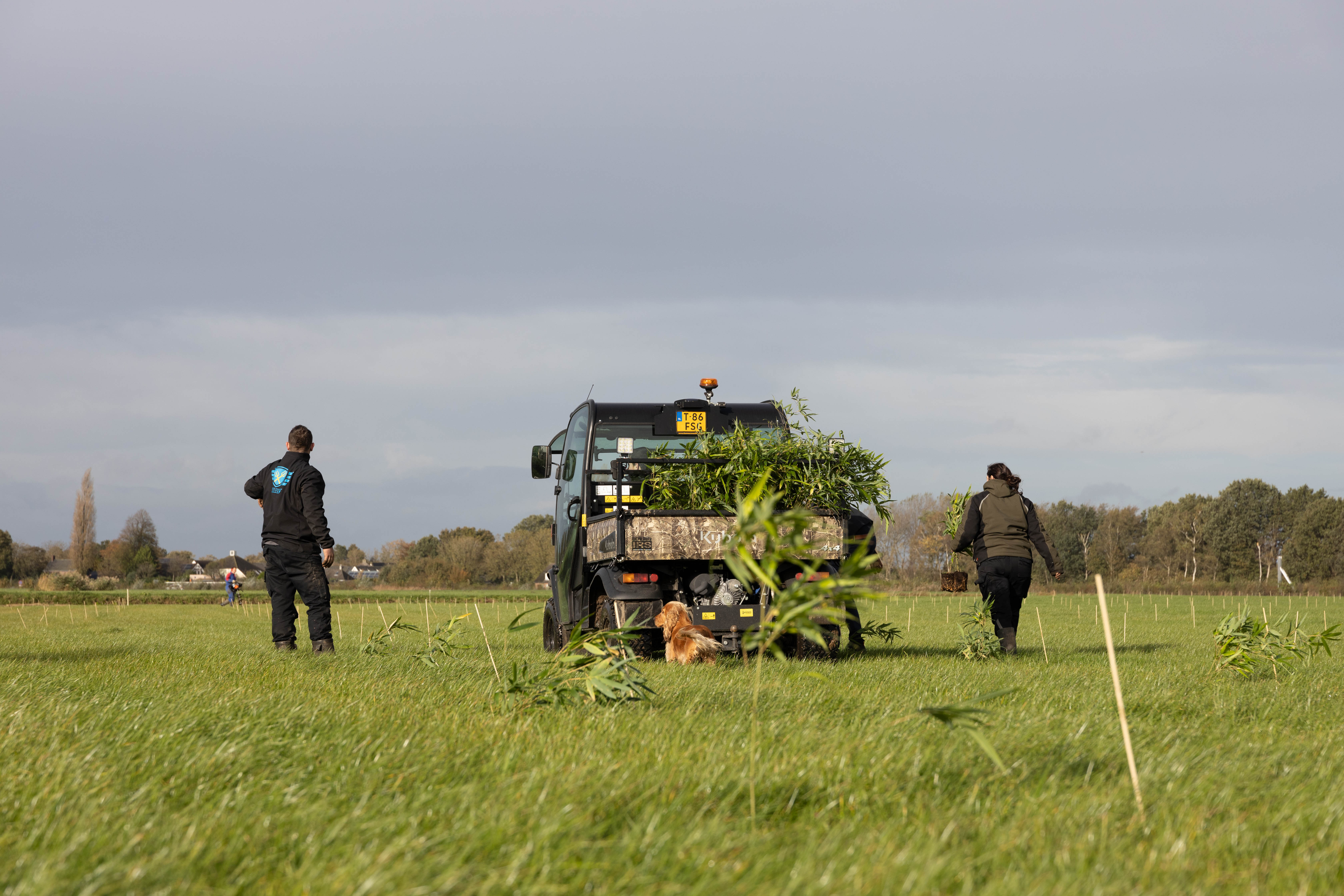 bamboofarm_nederland_haps