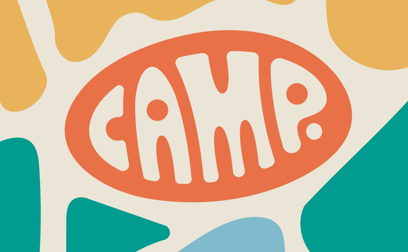Camp