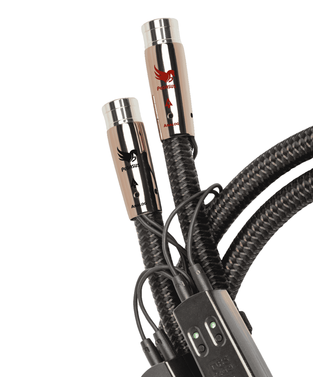 Audioquest XLR Pegasus - 2 - LE STUDIO HIFI