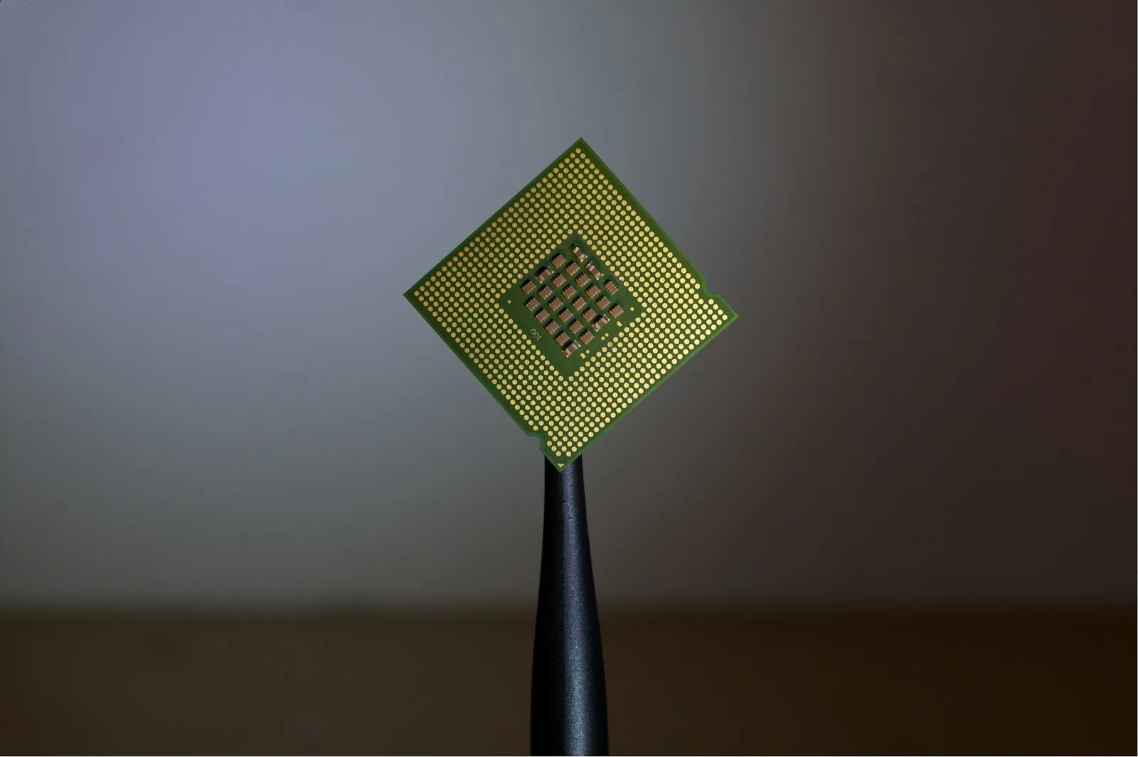 A computer processor chip held upright by black tweezers against a dark, softly lit background