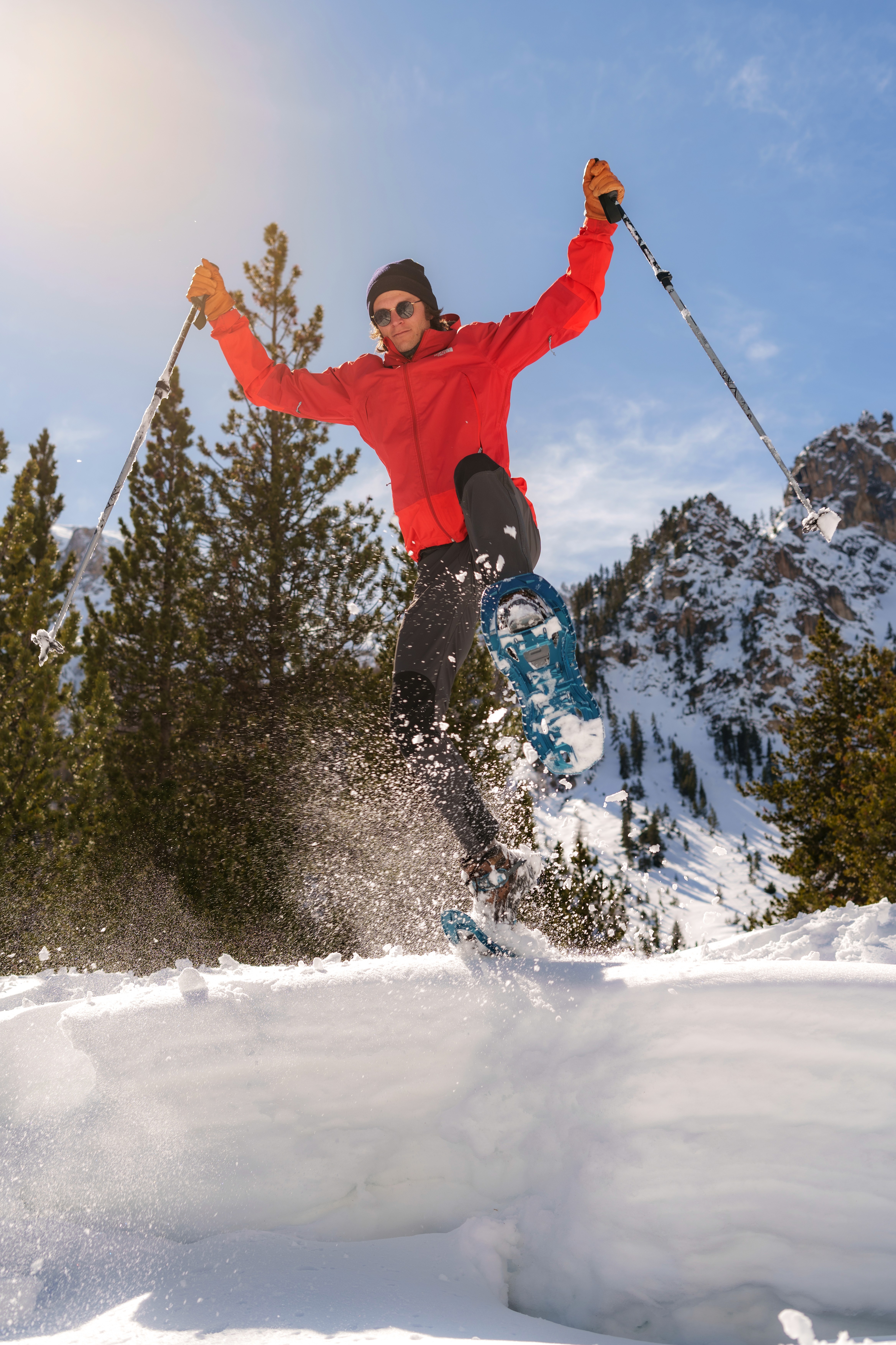 Photo d'un ordinateur portable, tenue par Anaïs, entouré d'un arbre fleuri