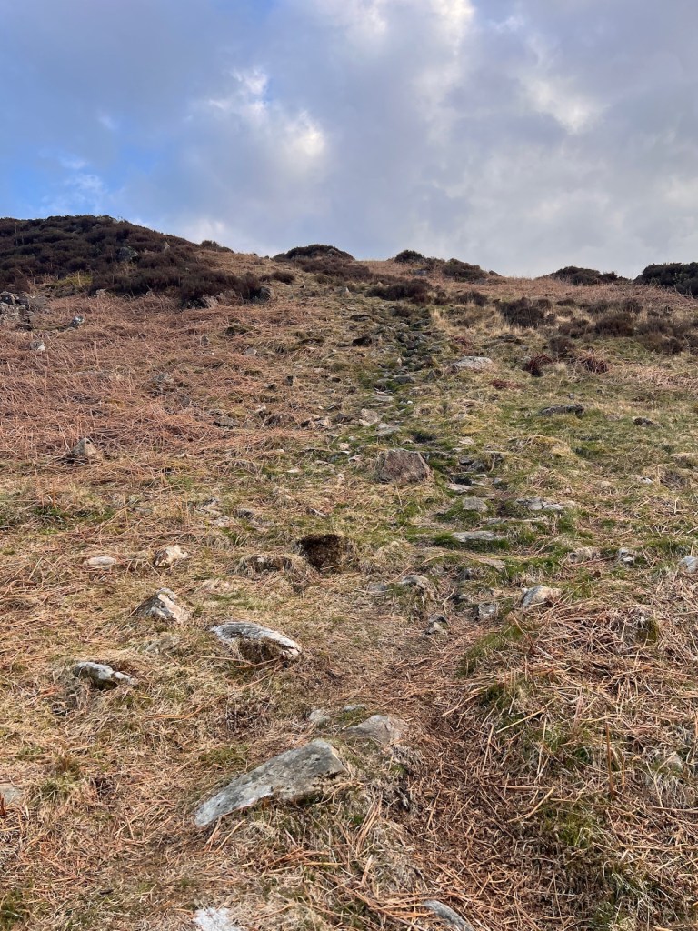 A dry, grassy path leading up to the top of Holme Fell. A few rocks but mostly grass.