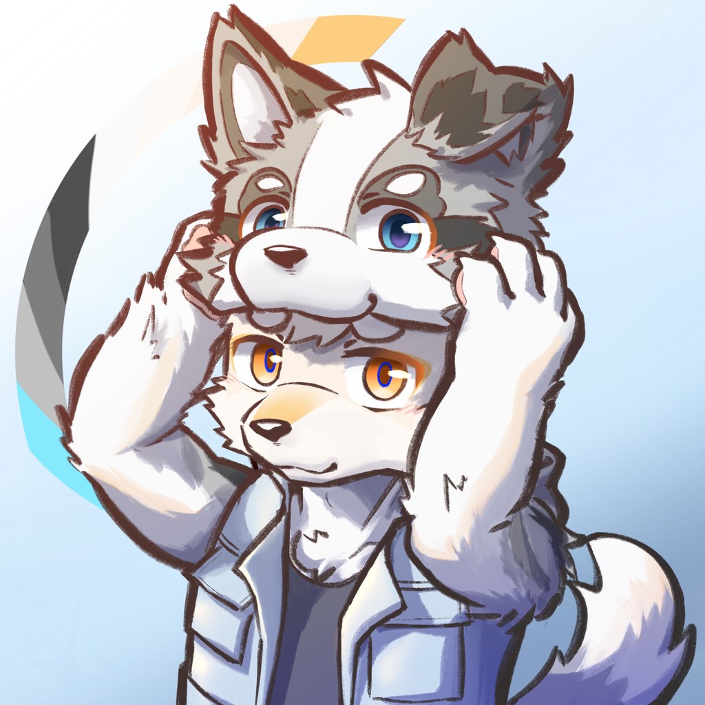 Goran Babarogic Product UX Designer