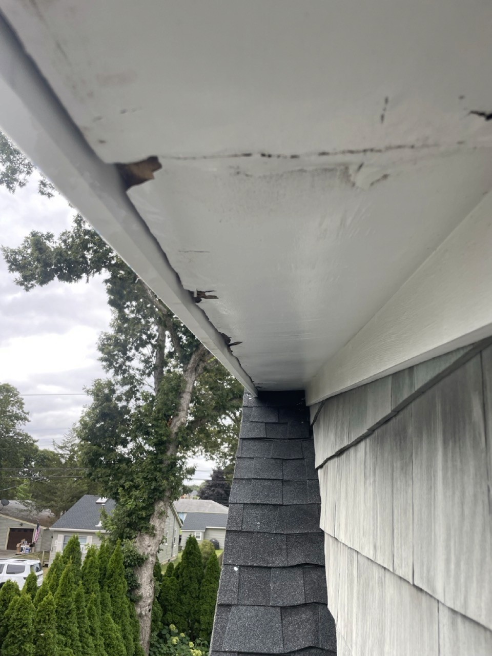 Finished, freshly painted exterior trim