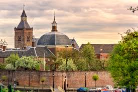 dakgoot schoonmaken Leerdam