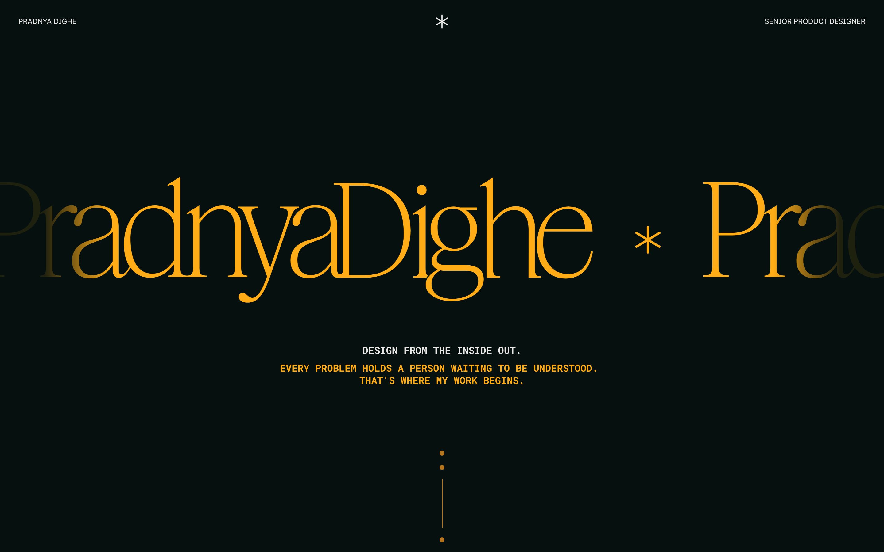 Pradnya Dighe live website screenshot