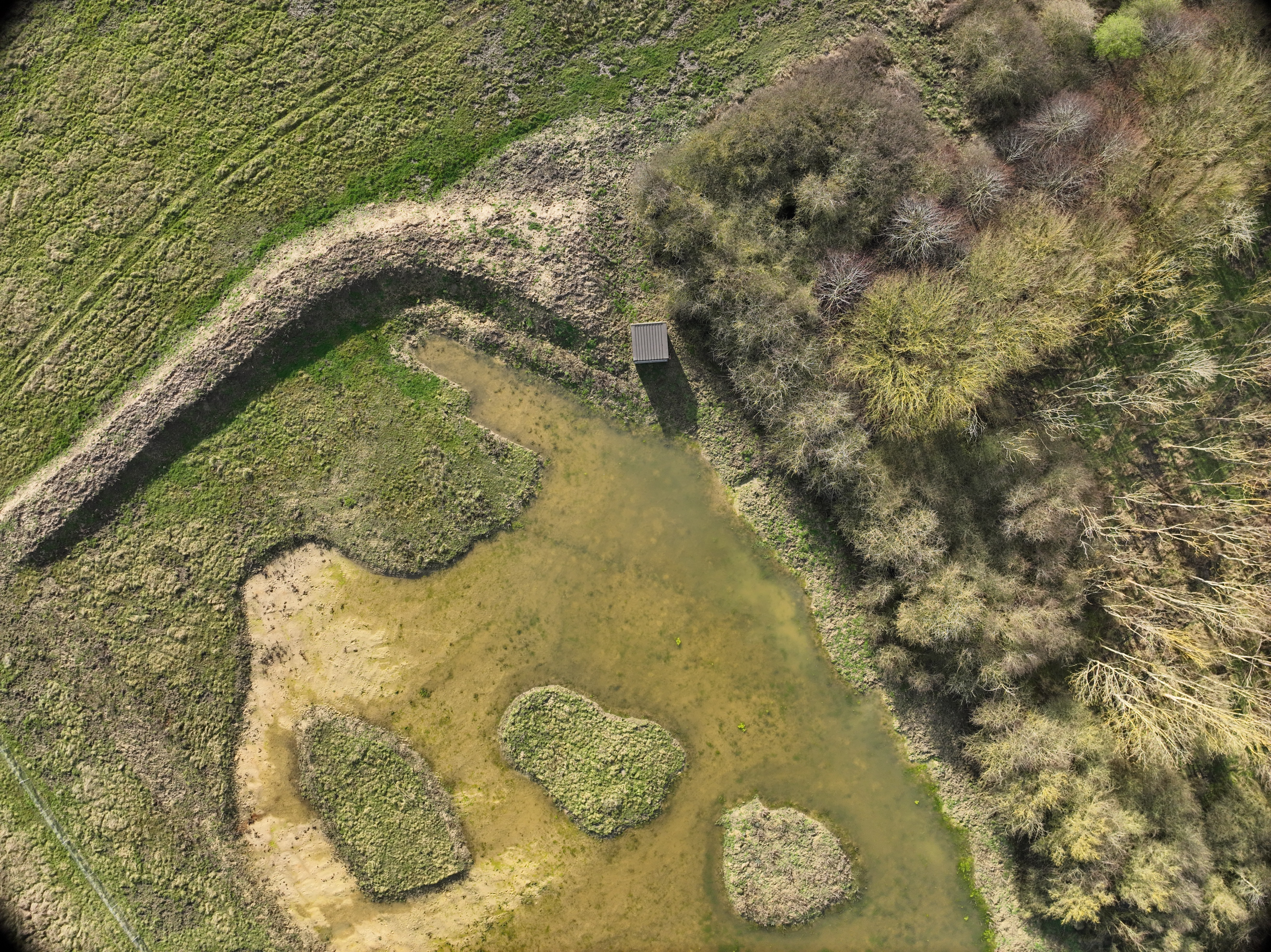 High resolution image for an orthomosaic