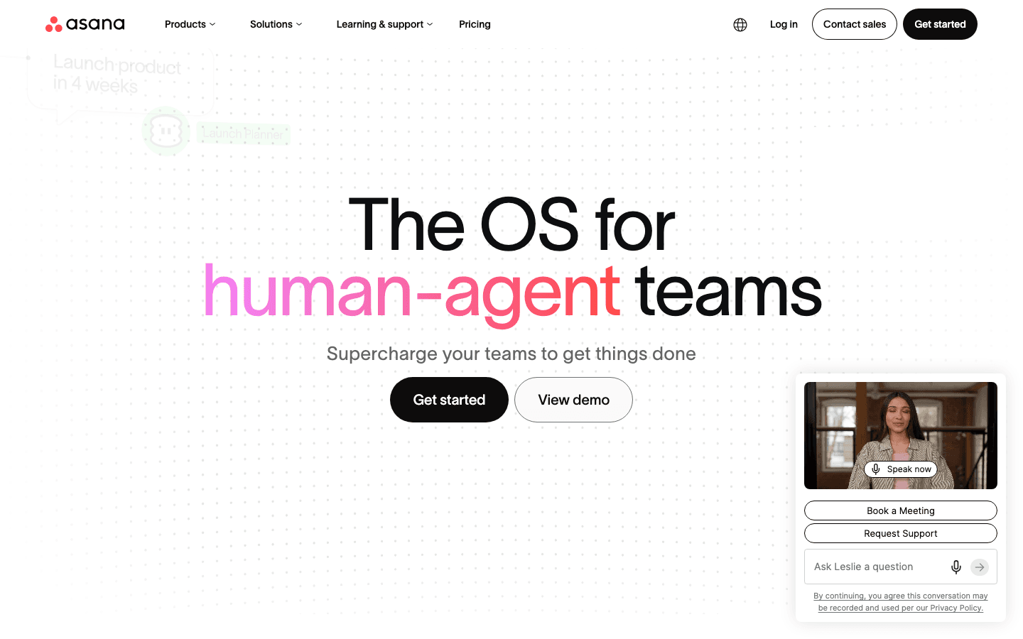 Asana website