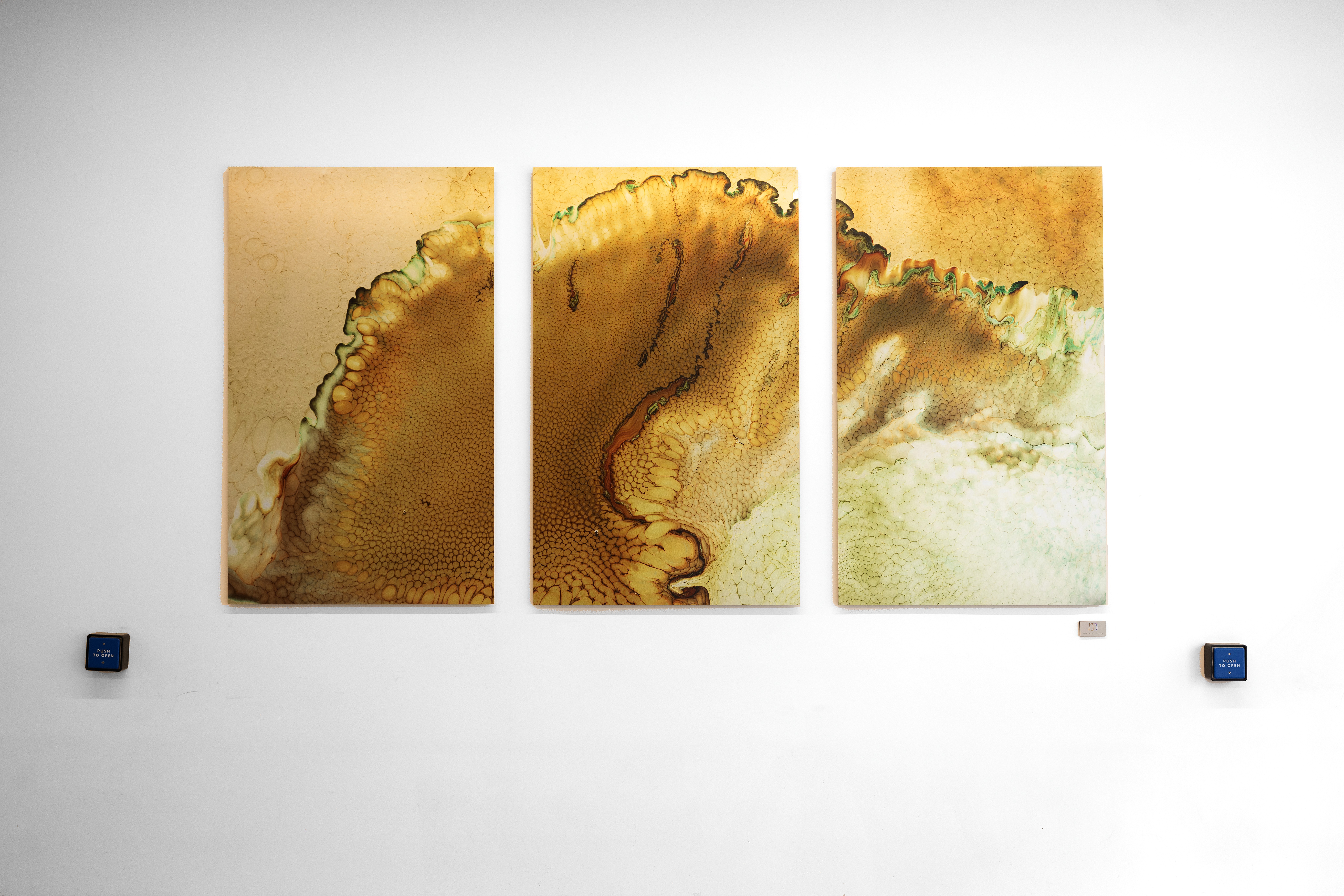 A woman observes framed black-and-white photographs in warm golden light