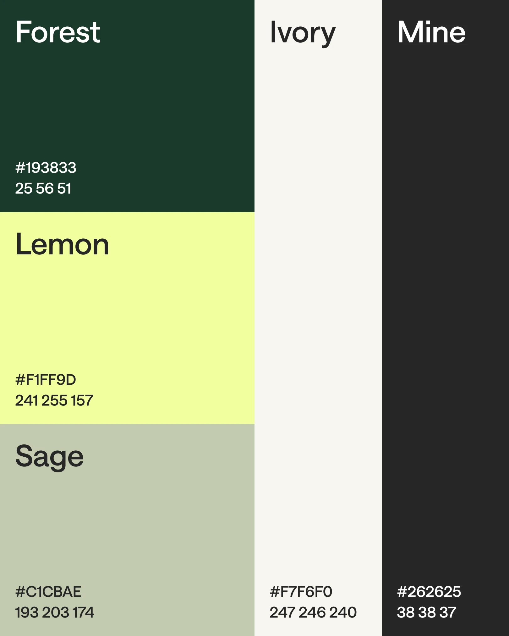 Bright Color Palette