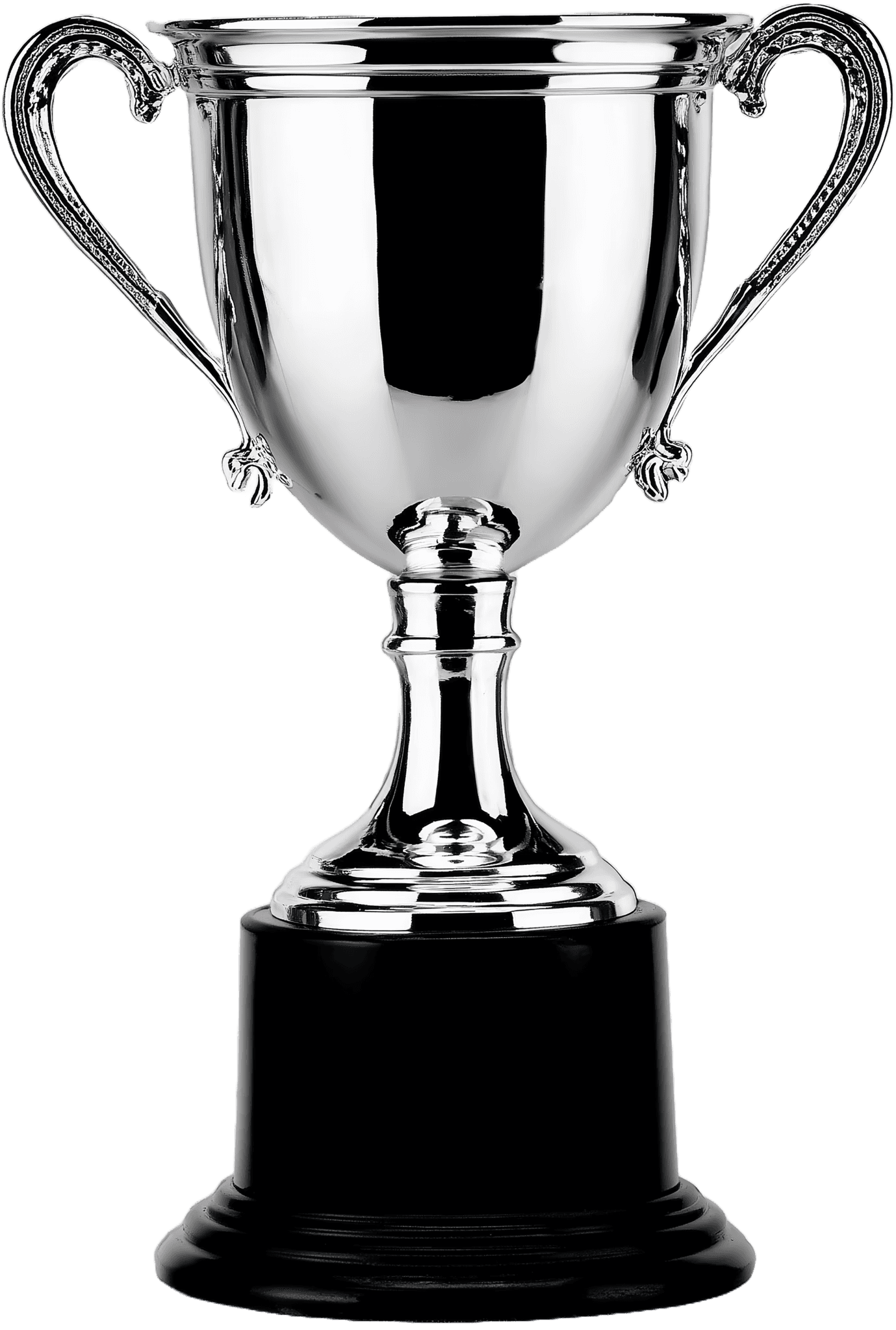 A shiny silver trophy on a black base, symbolizing achievement and victory.