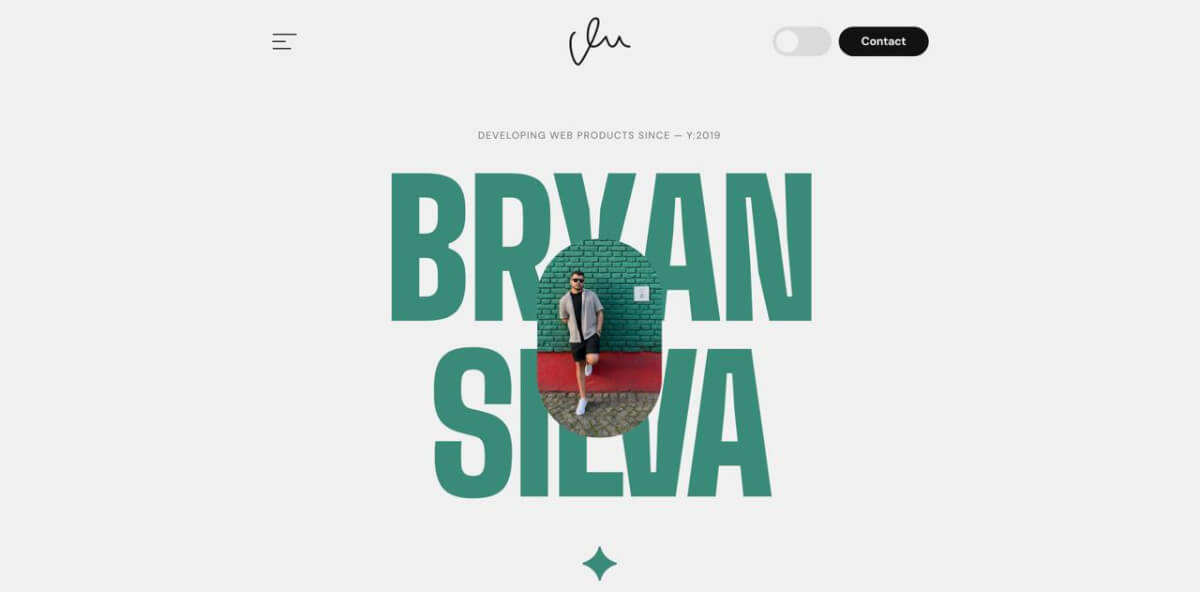 Bryan Silva | Senior WordPress & Frontend Developer Portfolio