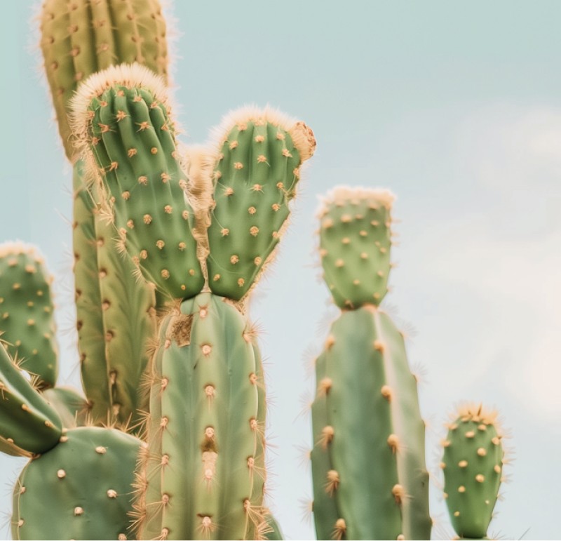 Make smarter business decisions