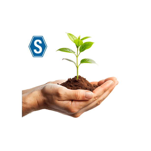 Hands holding growing plant above stacked coins representing unit trust growth.