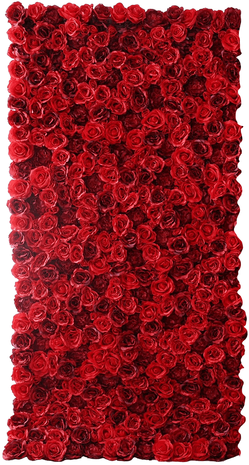 A flower wall positioned upright made of red roses with varying shades of red.