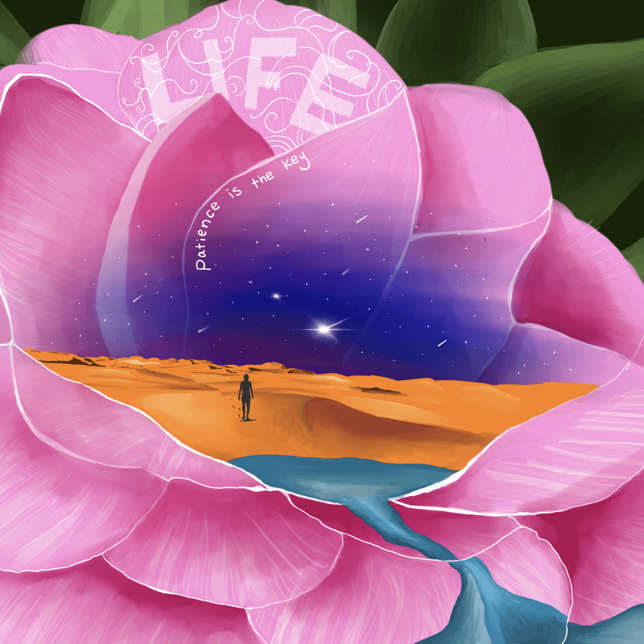 The image featured at the top of the about us page #1