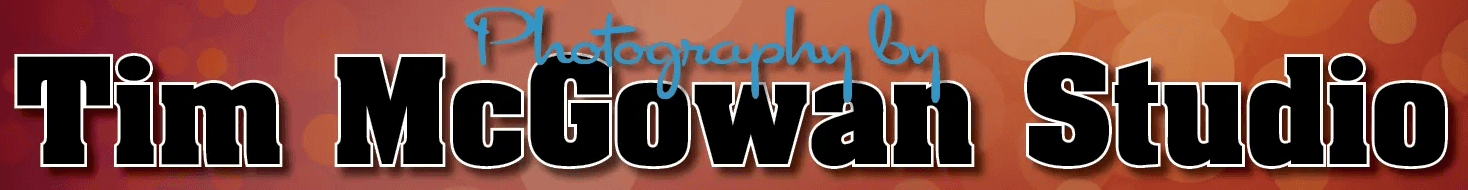 tim-mcgowan-studio-logo