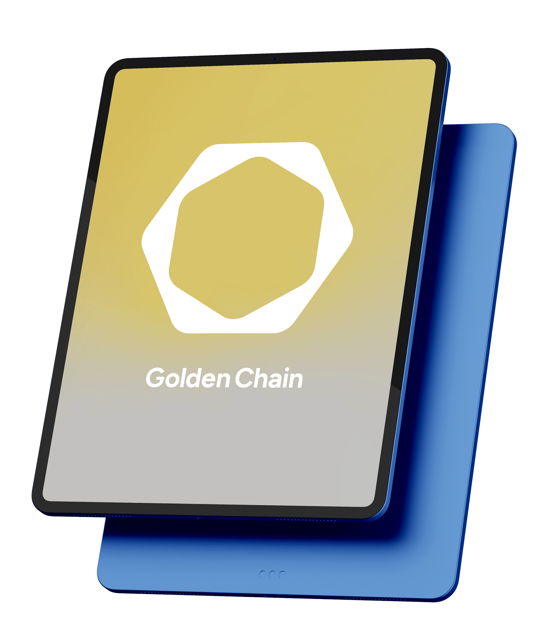 Project Gallery Image for 50% width of the screen #2