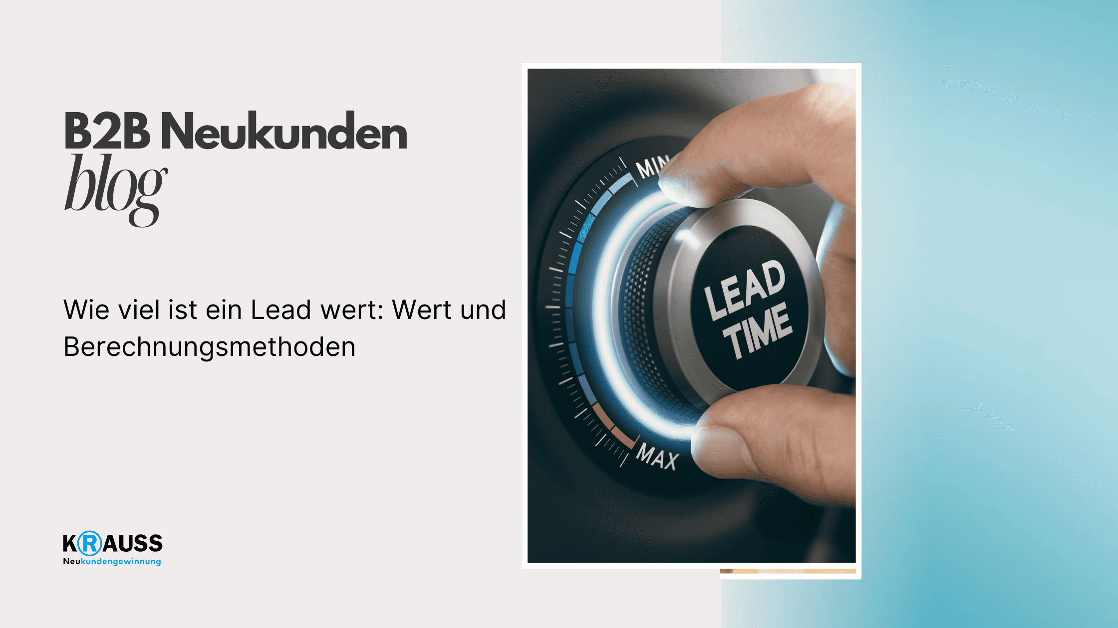 Wie viel ist ein Lead wert: Wert und Berechnungsmethoden