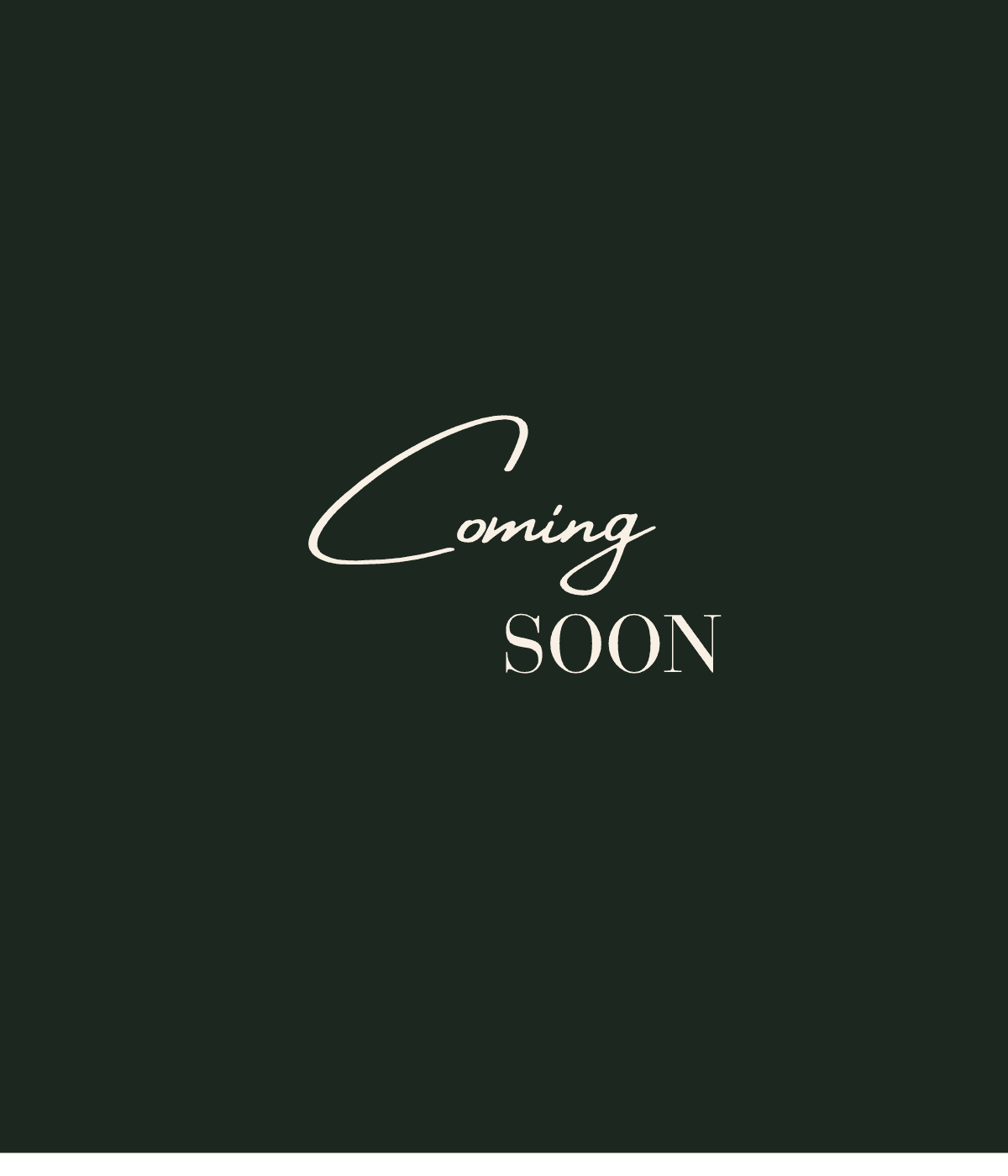 Coming soon: more Oak Cliff Dallas neighborhood guides.
