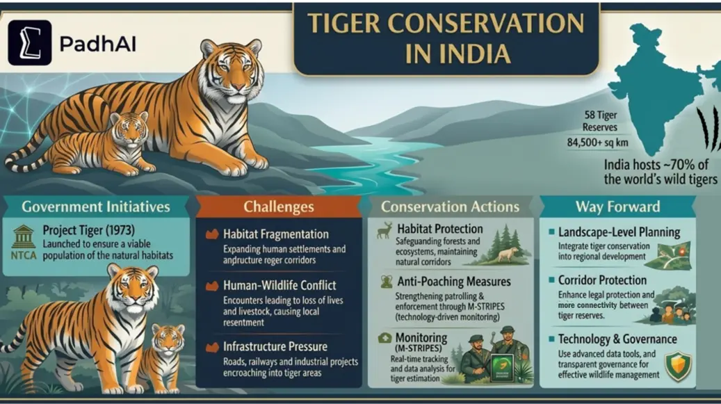 Tiger conservation efforts in india