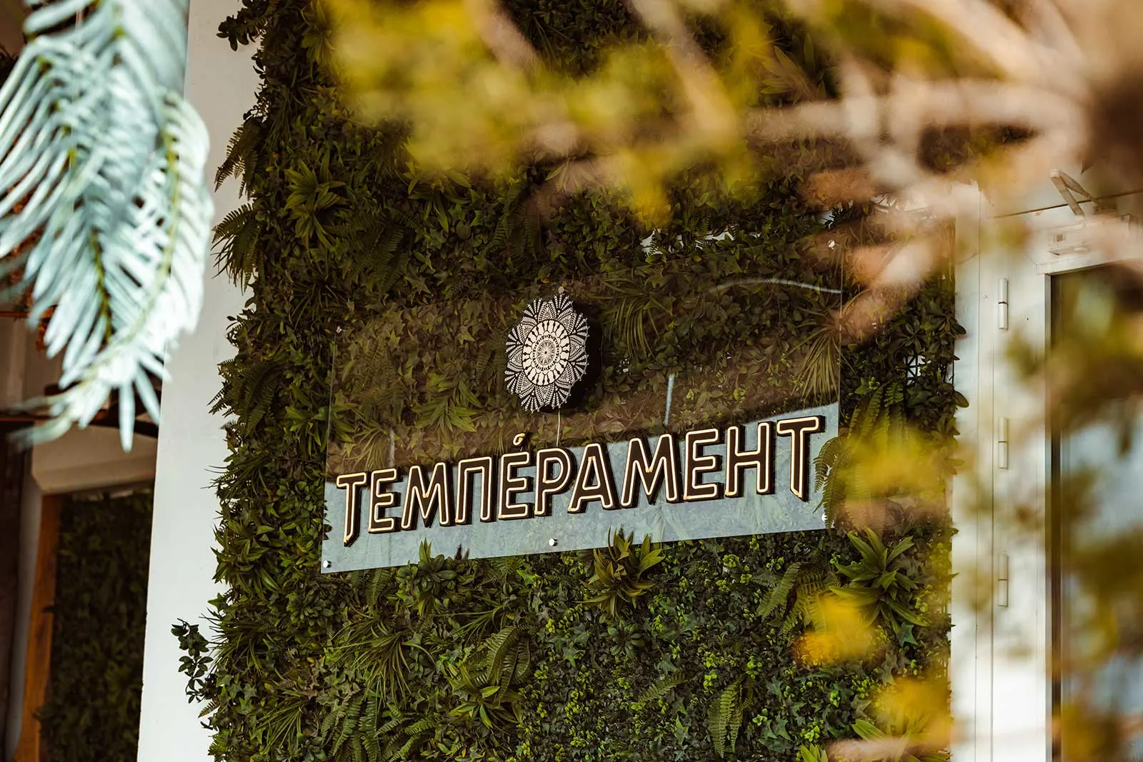 Temperament Beograd