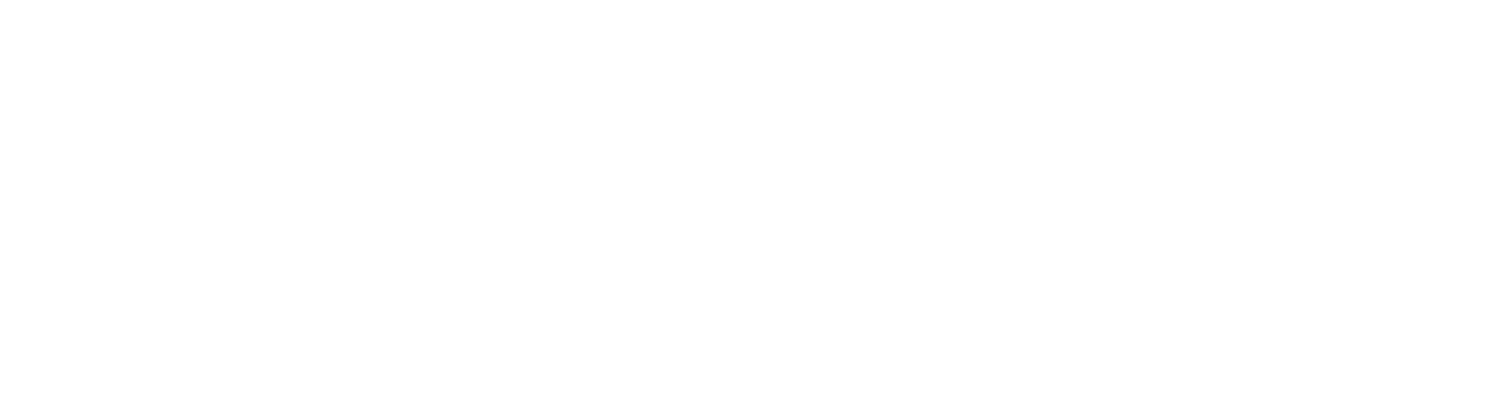 Vita Invest logo