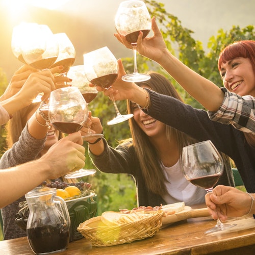 墨尔本的莫宁顿半岛之旅:包含缆车乘坐 + 午餐 + 葡萄酒和巧克力品鉴票