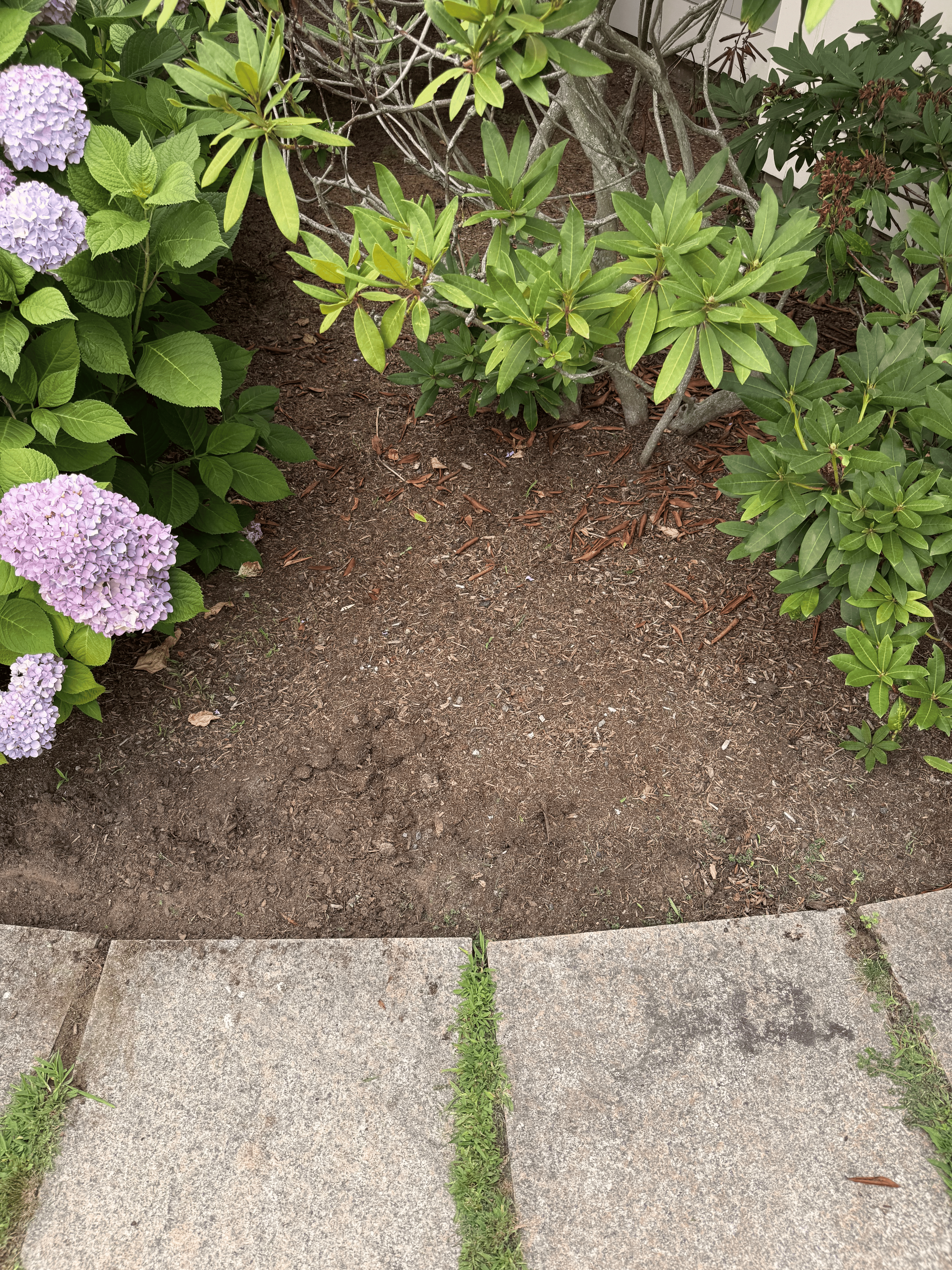 Maintained residential property exterior