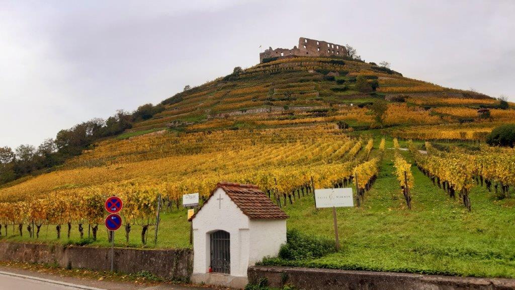 Weinberge im Breisgau, Foto von Rainer Vogler