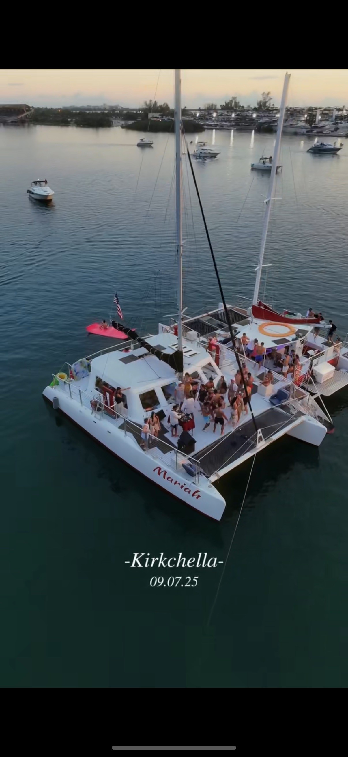 train on bridge surrounded with trees at daytime