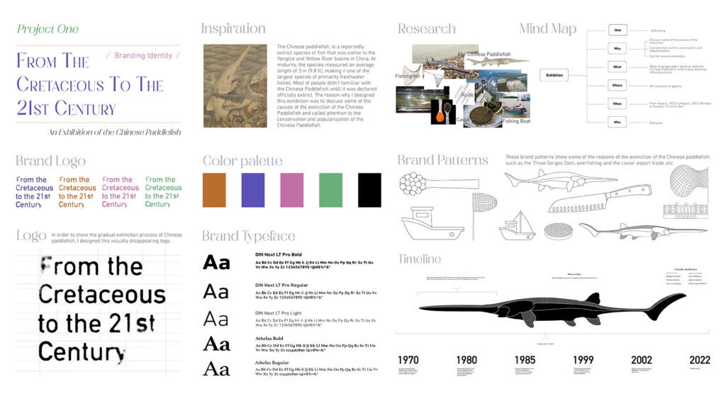 text, graphics, and colors showing design process