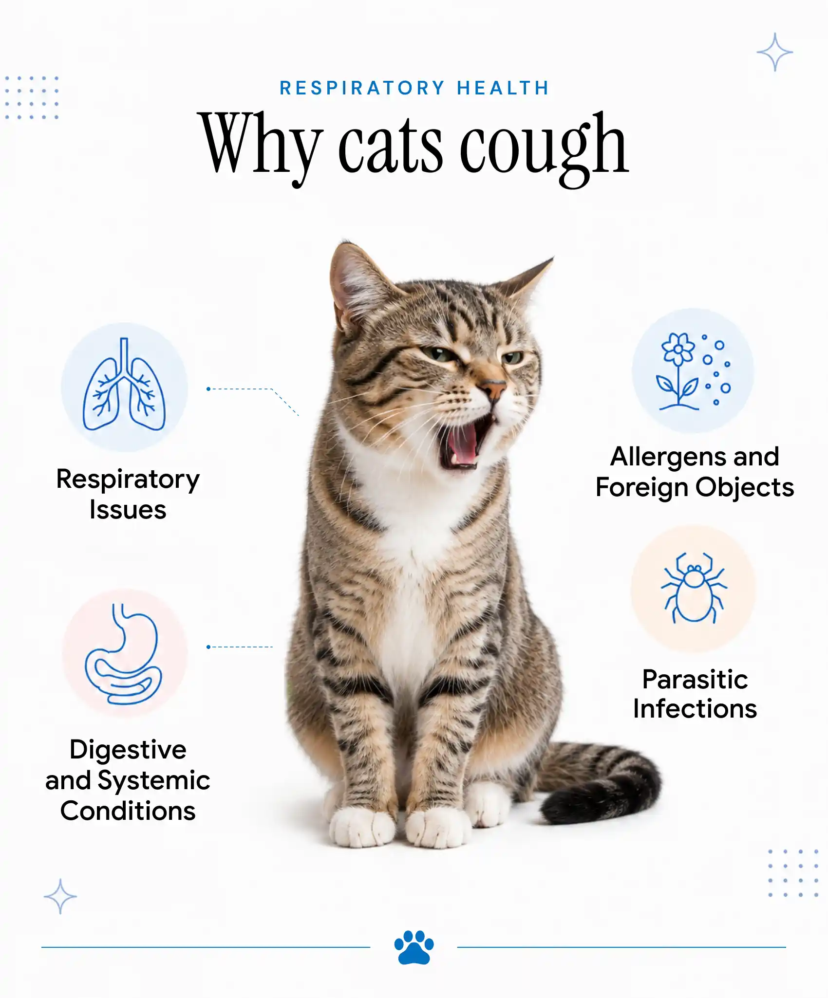 An infographic featuring a vet holding a white cat, showing the reasons why cats cough.