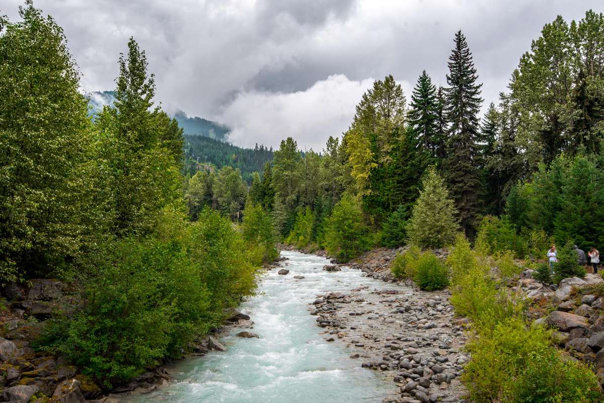 A turquoise river flows over rocks through a dense evergreen forest under a cloudy sky in a mountainous landscape.