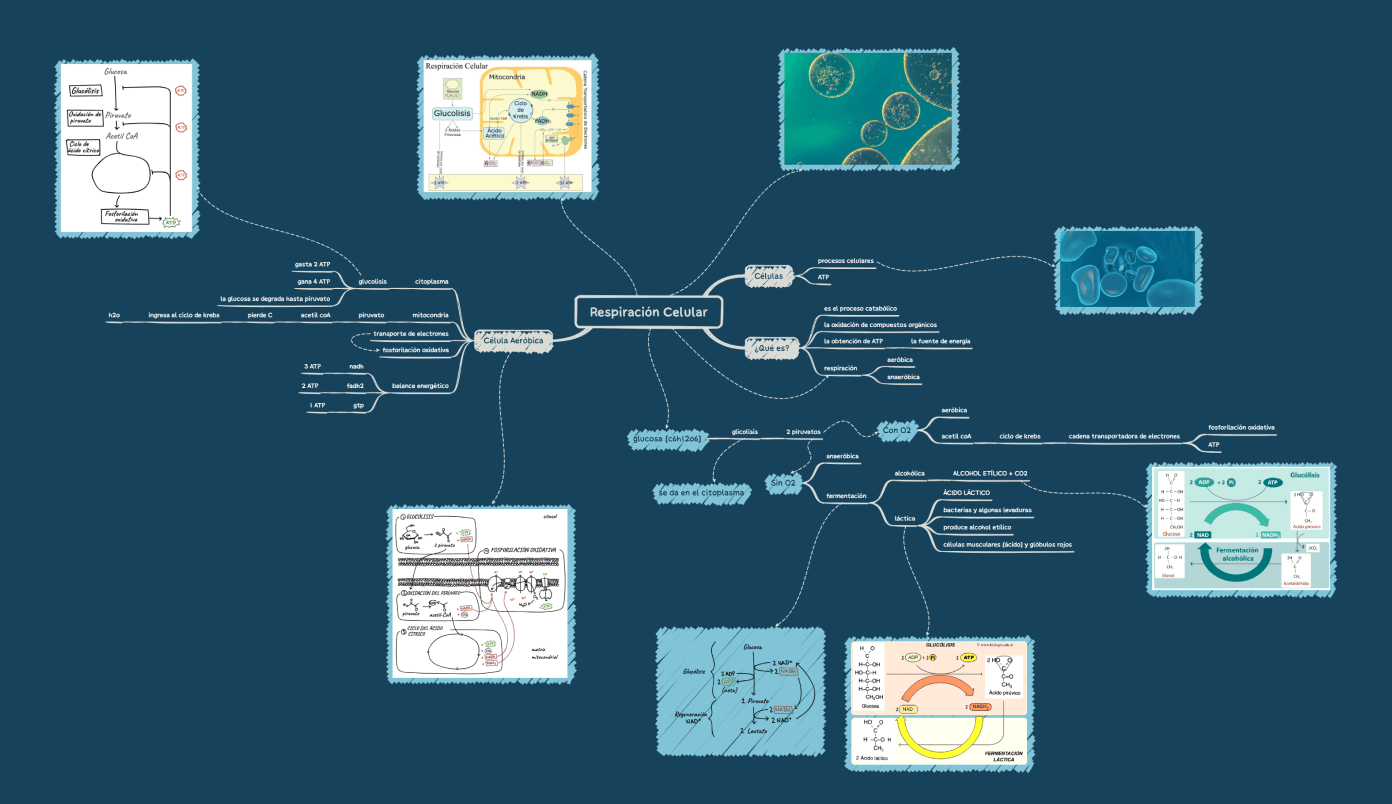 Xmind template for system overview, featured visual workspace mind map