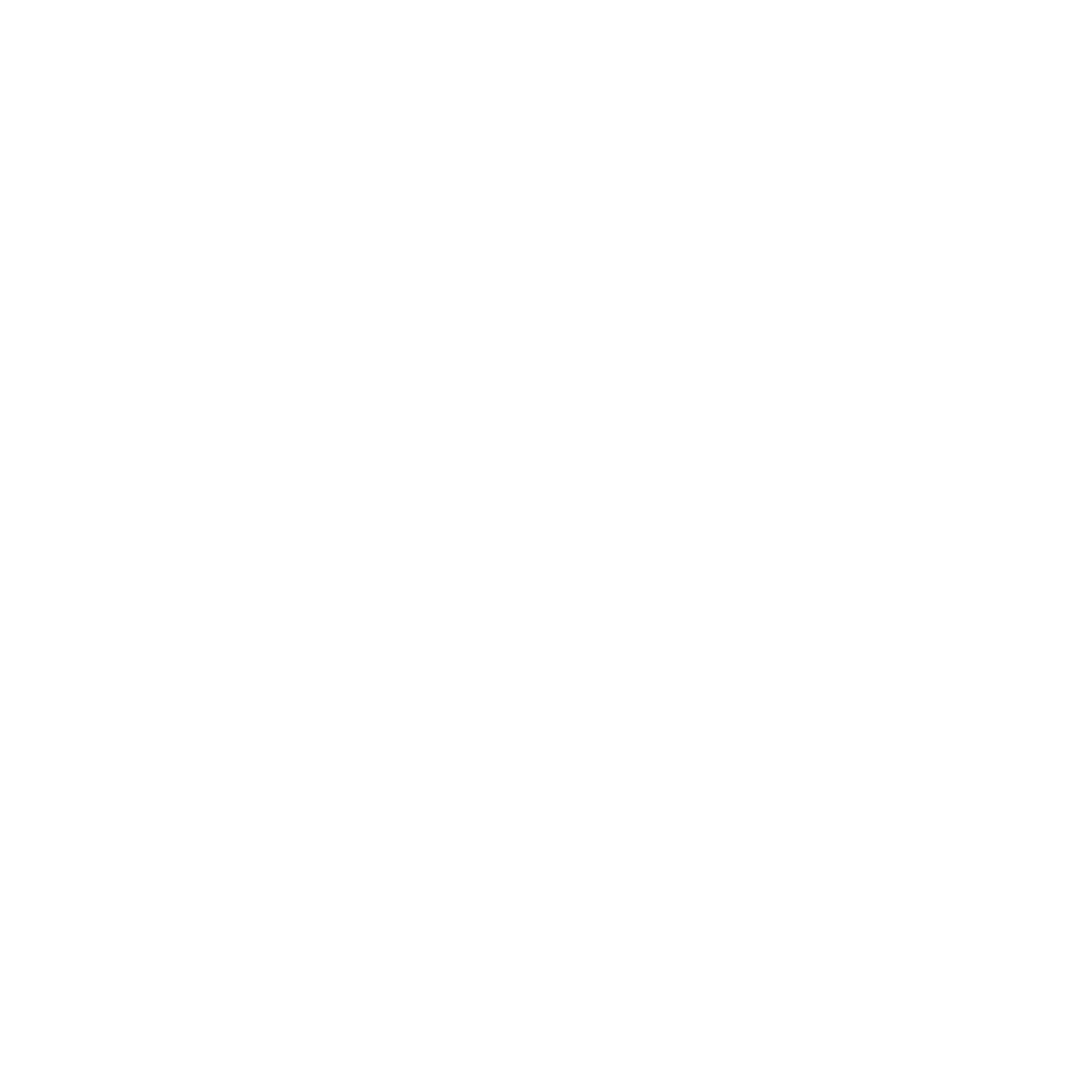 Logo Design Project for a Client