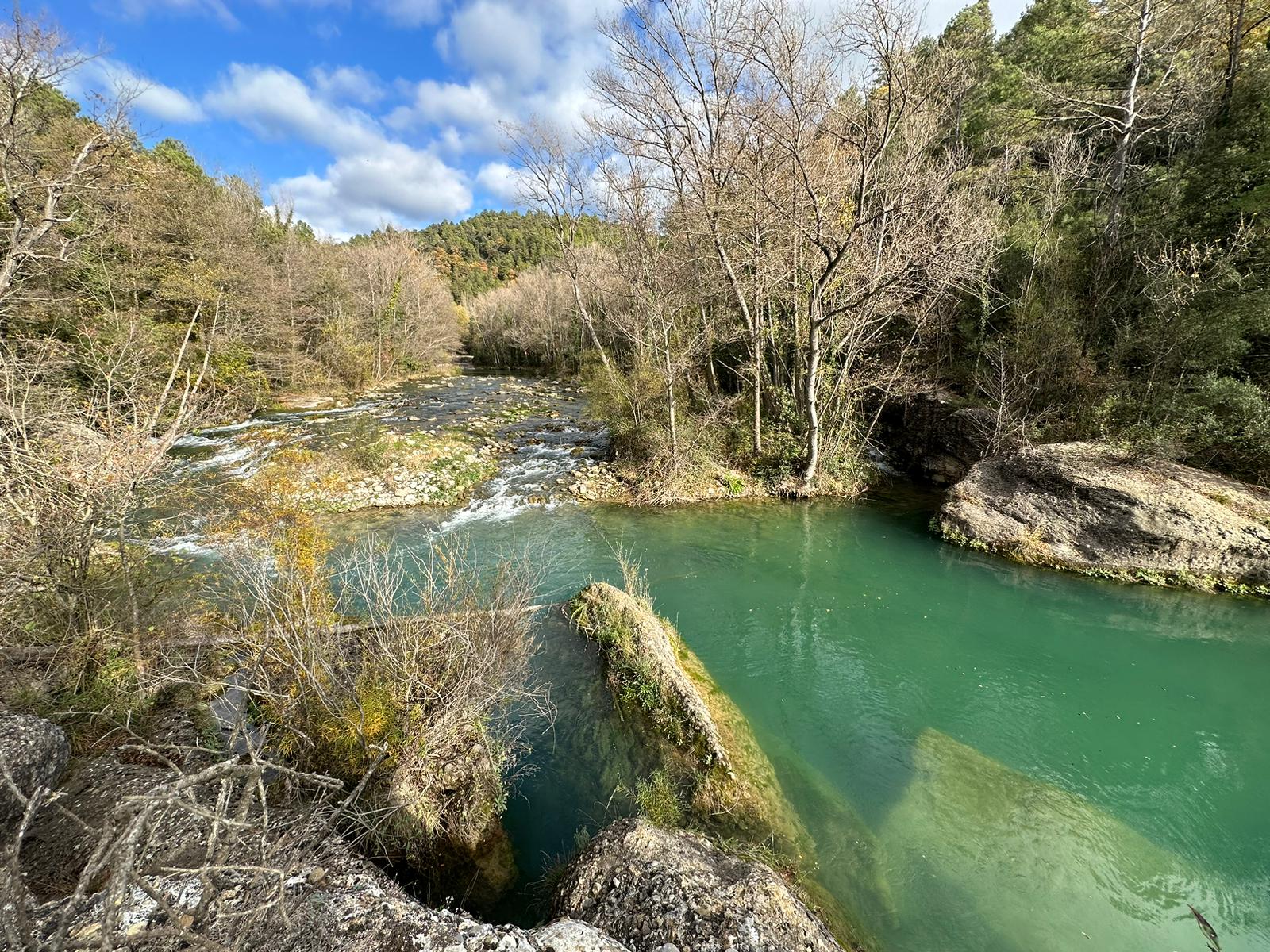 Fly fishing in Catalonia: Fisherman standing knee-deep in a pristine stream, casting a line into a tranquil bend near Barcelona.