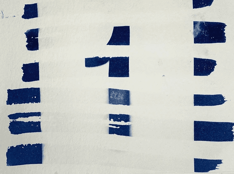 Cyanotypie-Komposition aus filigranen Pflanzen und grafischen Zahlen, künstlerische Verbindung von Natur und Typografie.