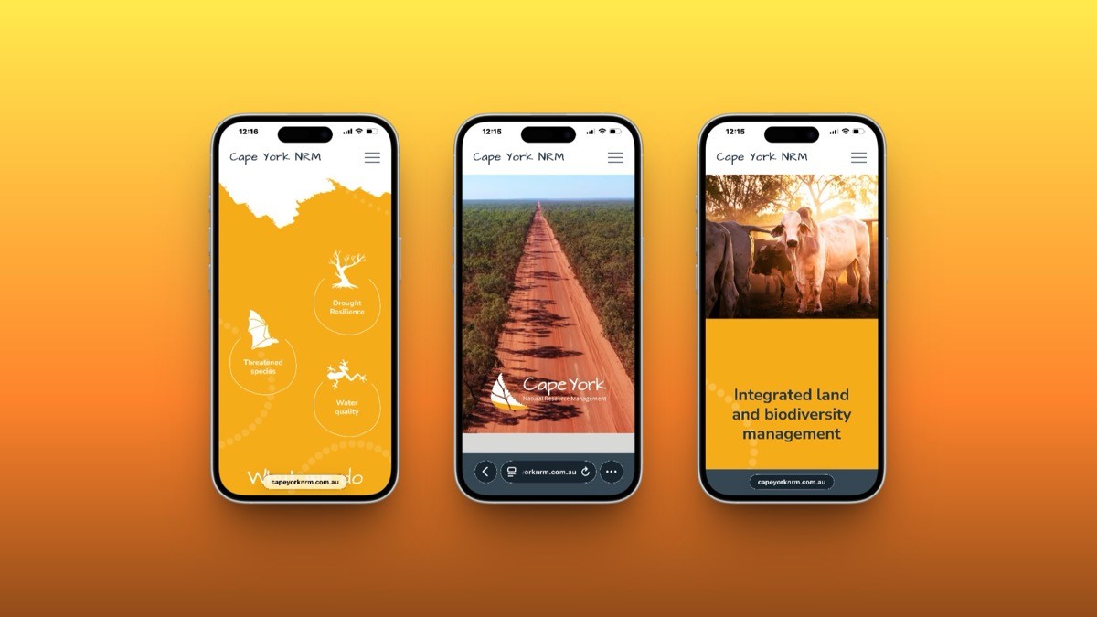 Tourism website designed by a Cairns web agency displayed across multiple mobile screens for travel businesses.